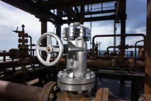 CNC machined Duplex valve assembly installed in oil & gas platform