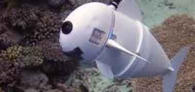 Robotics and Marine
