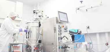 Pharmaceutical bioprocessing stainless steel 5-axis reactor head